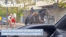 إصابات وفوضى بسبب فرار خيول تابعة للجيش البريطاني وسط لندن  ...